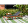 Wade Logan® Arnoult Outdoor Eucalyptus Chaise Lounge & Reviews | Wayfair